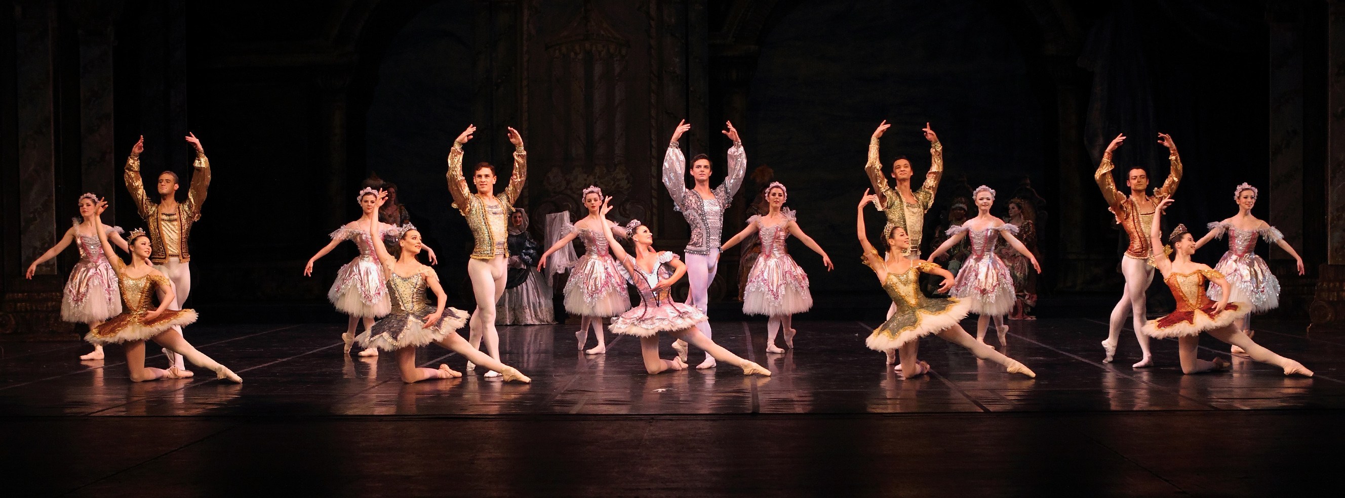 Sleeping Beauty - Pat Bromilow-Downing