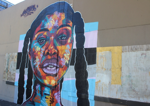 Fynbos wall art